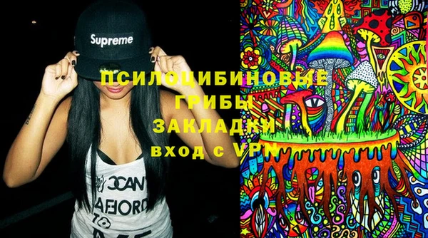 mdpv Белокуриха