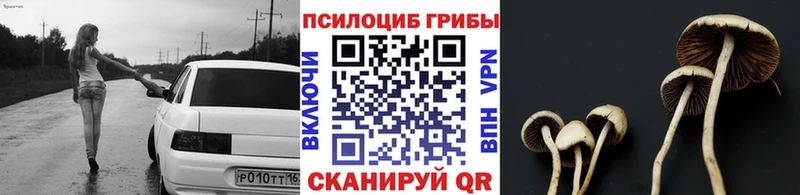 Купить закладки  Мглин  Галлюциногенные грибы мицелий 
